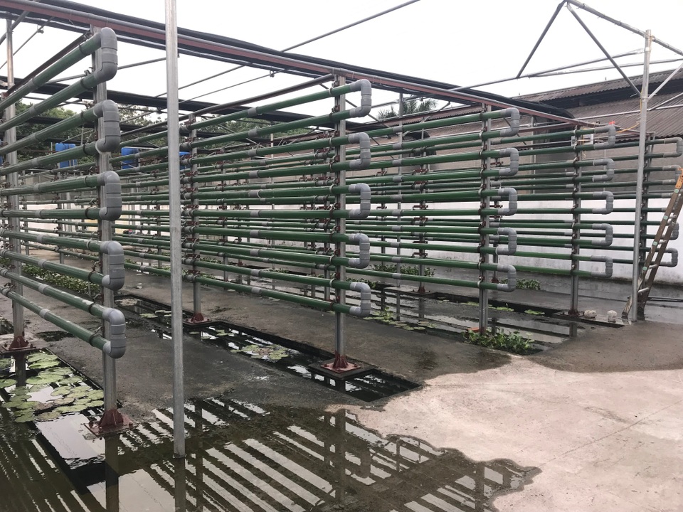 Vi tảo “Made in Vietnam”: Mục sở thị công nghệ nuôi tảo Spirulina của các nhà khoa học Việt - 8 Vi tảo “Made in Vietnam”: Mục sở thị công nghệ nuôi tảo Spirulina của các nhà khoa học Việt - 8