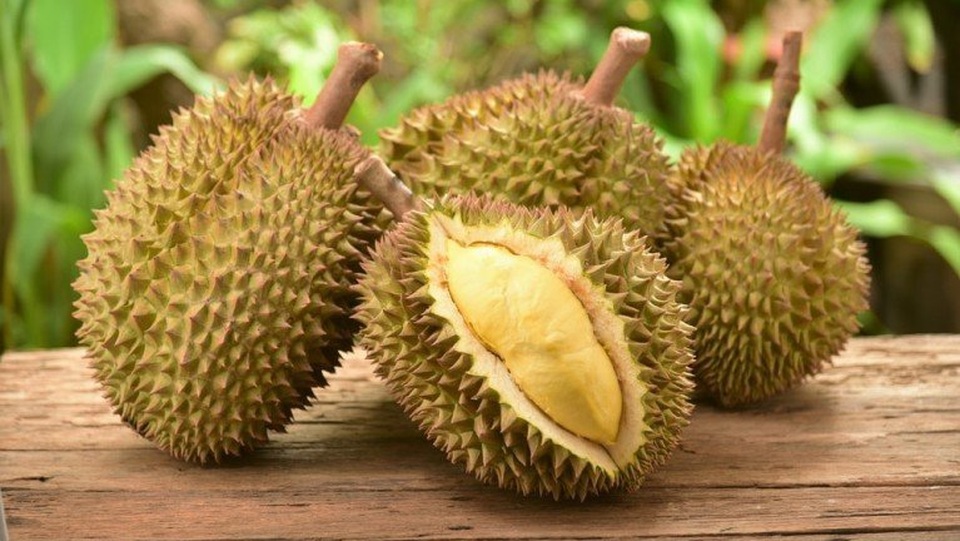 Kỳ lạ, quả bí ngô hơn 1 tạ, quả sầu riêng hơn 1 tỷ đồng - 2 Kỳ lạ, quả bí ngô hơn 1 tạ, quả sầu riêng hơn 1 tỷ đồng - 2