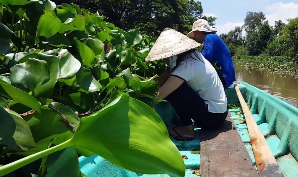 Kỳ lạ, quả bí ngô hơn 1 tạ, quả sầu riêng hơn 1 tỷ đồng - 3 Kỳ lạ, quả bí ngô hơn 1 tạ, quả sầu riêng hơn 1 tỷ đồng - 3
