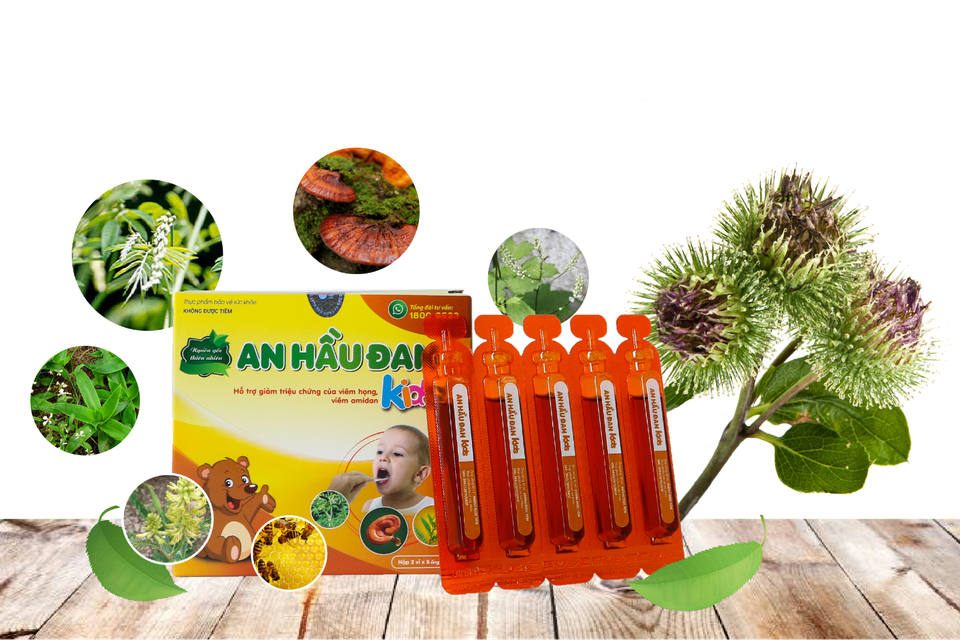 Thảo dược hỗ trợ điều trị viêm Amidan, viêm VA như thế nào? - 1 Thảo dược hỗ trợ điều trị viêm Amidan, viêm VA như thế nào? - 1