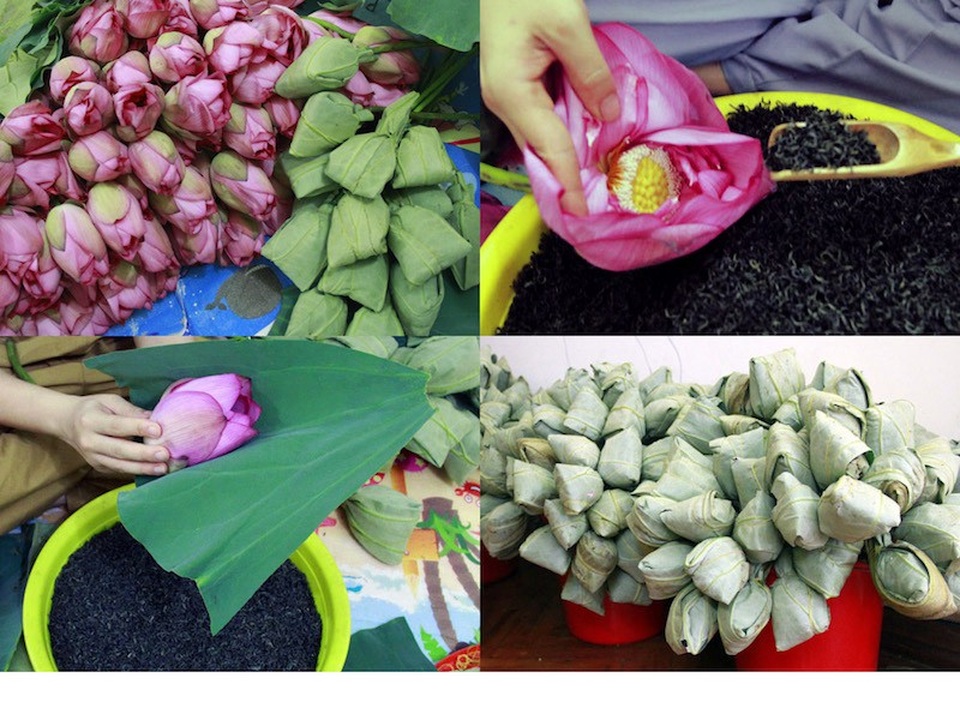 Trà ướp hoa sen hút khách dịp tết - Ảnh 2. Trà ướp hoa sen hút khách dịp tết - Ảnh 2.