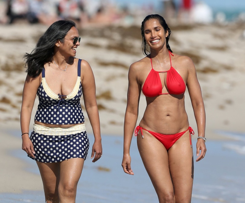 Padma Lakshmi đẹp hút hồn ở tuổi 49 - Ảnh 5.