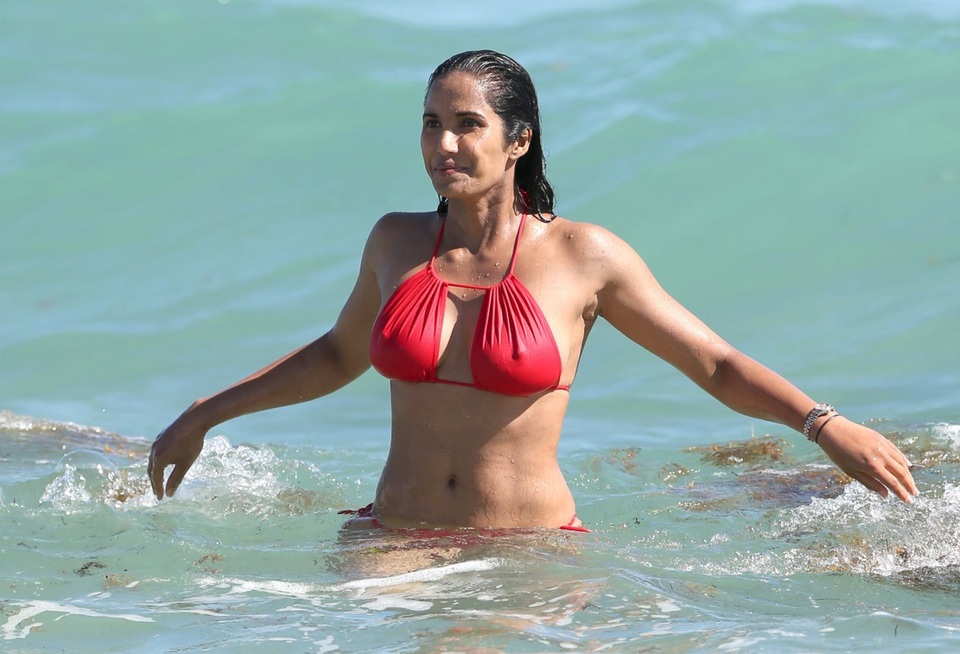 Padma Lakshmi đẹp hút hồn ở tuổi 49 - Ảnh 6.