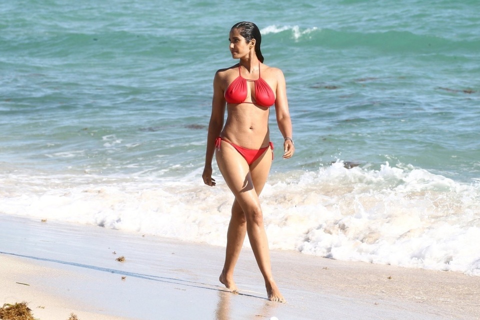 Padma Lakshmi đẹp hút hồn ở tuổi 49 - Ảnh 16.