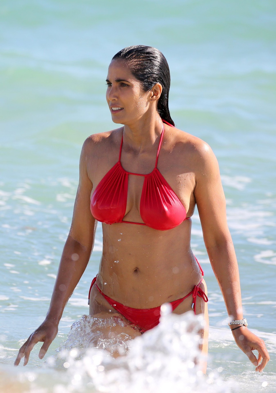 Padma Lakshmi đẹp hút hồn ở tuổi 49 - Ảnh 17.