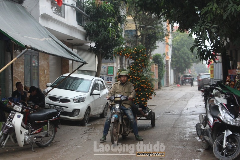 Thu nhập hàng triệu đồng/ngày, người dân hốt bạc dịp cận Tết - Ảnh 3. Thu nhập hàng triệu đồng/ngày, người dân hốt bạc dịp cận Tết - Ảnh 3.