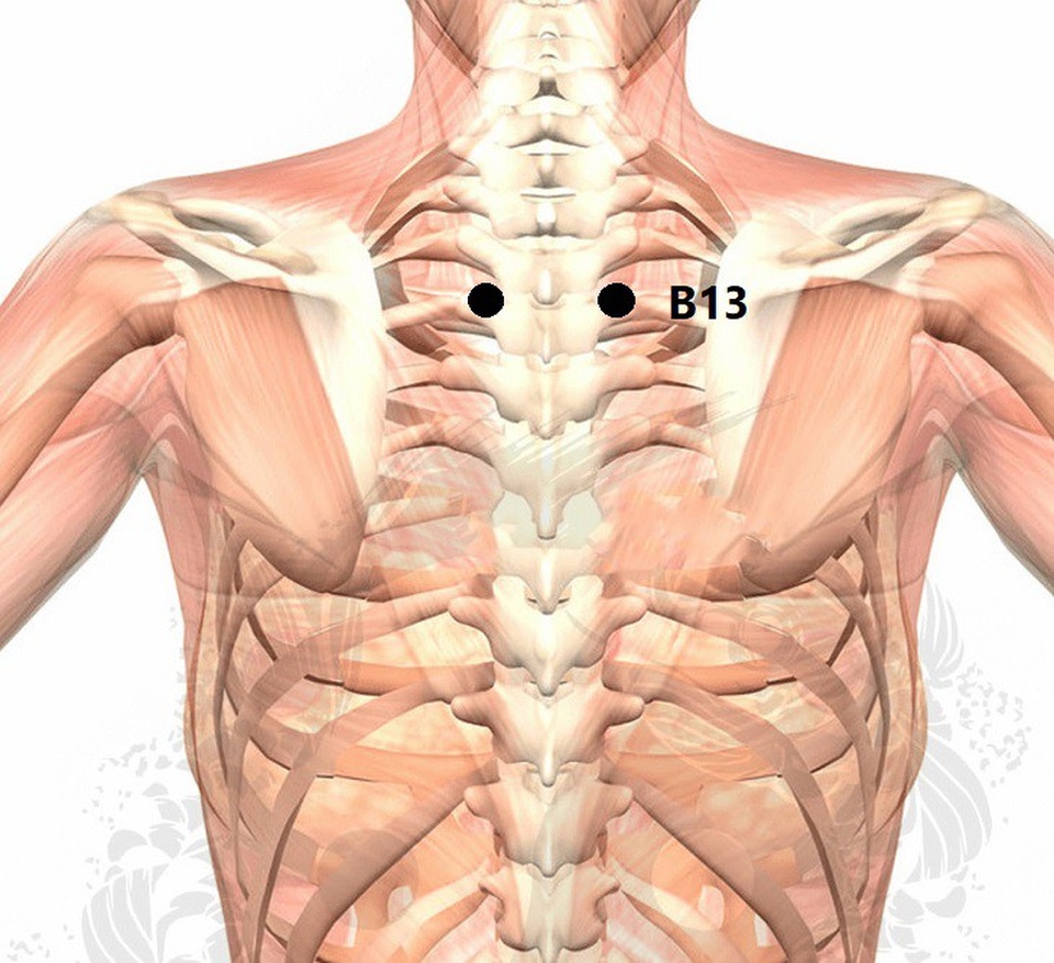 Massage 6 huyệt dưới đây và bạn sẽ không còn phải lo lắng với việc rụng tóc - Ảnh 4. Massage 6 huyệt dưới đây và bạn sẽ không còn phải lo lắng với việc rụng tóc - Ảnh 4.