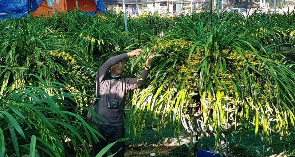 Khu vườn huyền thoại ở Lào Cai, mỗi năm chỉ thu 1 lần 20 tỷ đồng - Ảnh 5. Khu vườn huyền thoại ở Lào Cai, mỗi năm chỉ thu 1 lần 20 tỷ đồng - Ảnh 5.