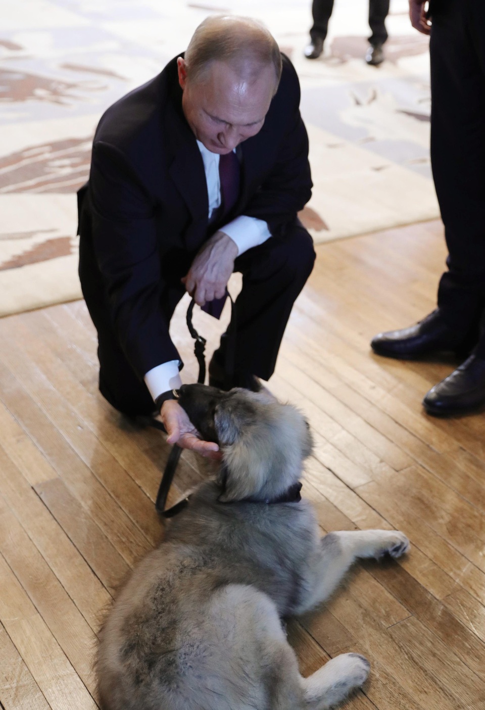 Món quà đặc biệt tổng thống Serbia tặng ông Putin - Ảnh 4. Món quà đặc biệt tổng thống Serbia tặng ông Putin - Ảnh 4.