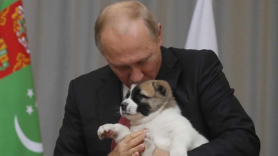 Món quà đặc biệt tổng thống Serbia tặng ông Putin - Ảnh 5. Món quà đặc biệt tổng thống Serbia tặng ông Putin - Ảnh 5.