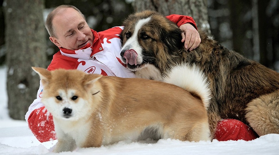 Món quà đặc biệt tổng thống Serbia tặng ông Putin - Ảnh 6. Món quà đặc biệt tổng thống Serbia tặng ông Putin - Ảnh 6.