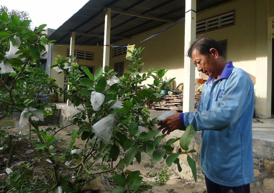 An Giang hồi sinh sau nhiều mất mát trong cuộc chiến tiêu diệt Pôn Pốt - 4 Ông Huỳnh Văn Quốc cũng như nhiều người dân Ba Chúc gác lại đau thương, tập trung lao động sản xuất lo cho cuộc sống mới