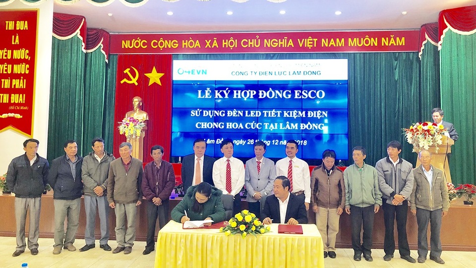 Lâm Đồng: Ngành điện hỗ trợ nông dân tiết kiệm điện trồng hoa - 2 Đại diện Cty CP NN Đông Dương và các hộ dân ký kết hợp đồng ESCO sử dụng đèn led tiết kiệm điện chong hoa cúc tại Lâm Đồng.