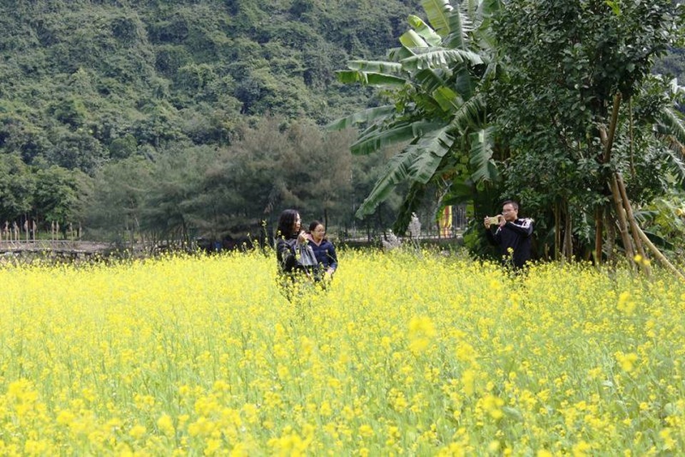 Du khách ùn ùn kéo đến “check in” vườn hoa cải rực vàng ở Ninh Bình - 15 Lưu lại những khoảnh khắc đáng nhớ trong ngày đầu năm ghé đến Thung Nham.