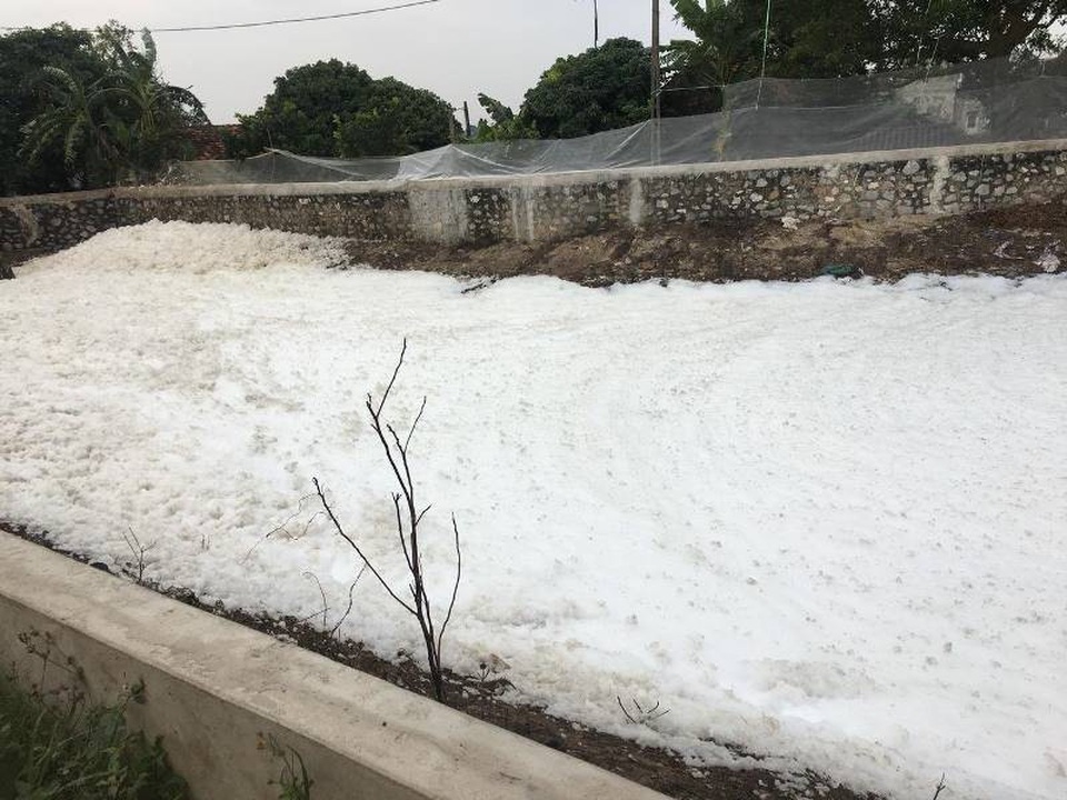 Kênh tưới tiêu nổi bọt trắng xóa, dày đặc như bông tuyết - 5 Kênh tưới tiêu nổi bọt trắng xóa, dày đặc như bông tuyết - 5