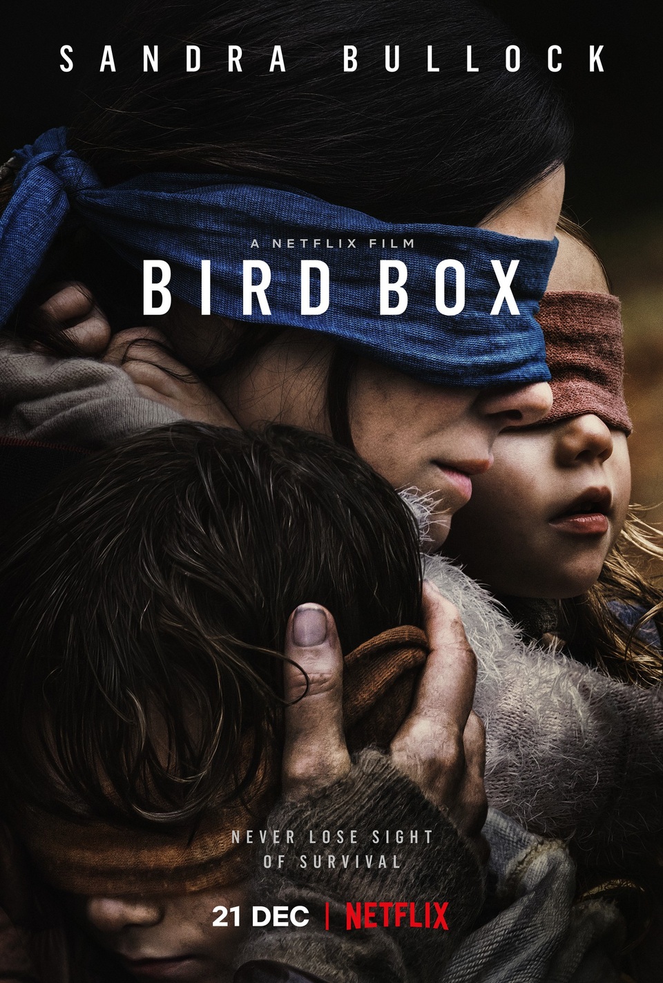 Nhà sản xuất khẩn nài người xem đừng mạo hiểm… như phim - 3
Poster phim “Bird Box”