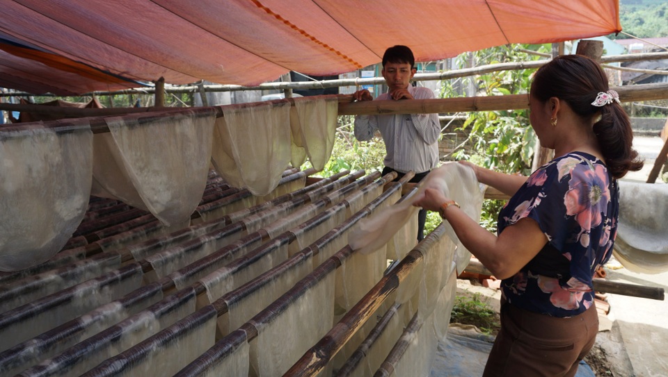 Thanh Hóa: Làng truyền thống làm miến dong nhộn nhịp dịp giáp Tết - 6 Dù chỉ là nghề phụ 3 tháng cuối năm nhưng nhiều gia đình thu nhập hàng chục triệu đồng.