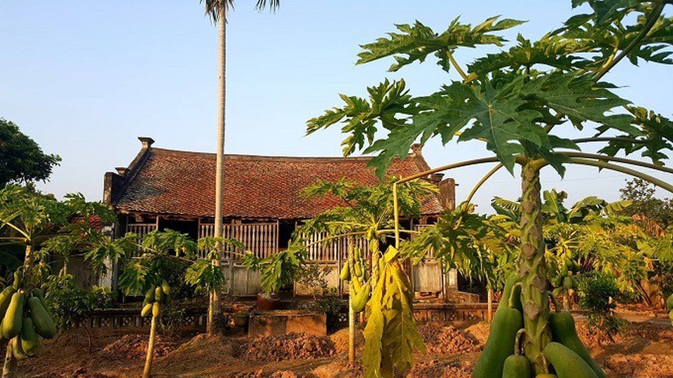 Nhà cổ 700 triệu đồng ở Hà Nam của lái buôn đầu thế kỷ 20 - Ảnh 1. Nhà cổ 700 triệu đồng ở Hà Nam của lái buôn đầu thế kỷ 20 - Ảnh 1.