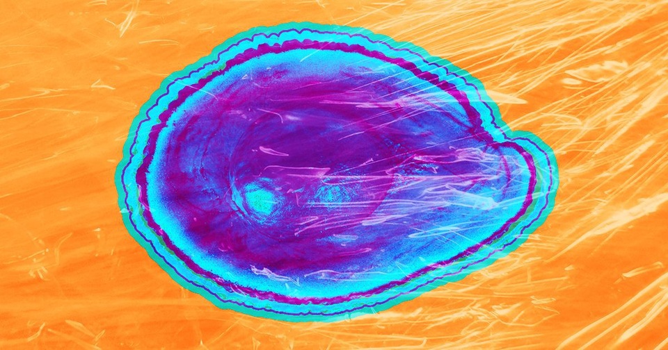 Vỏ bọc ăn được có thể giữ thực phẩm tươi lâu hơn - Ảnh 1.