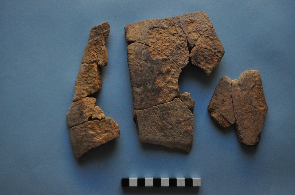 Phát hiện pháo đài Ai Cập 2.300 tuổi bảo vệ cảng trung chuyển voi chiến thời cổ đại - Ảnh 2. Phát hiện pháo đài Ai Cập 2.300 tuổi bảo vệ cảng trung chuyển voi chiến thời cổ đại - Ảnh 2.