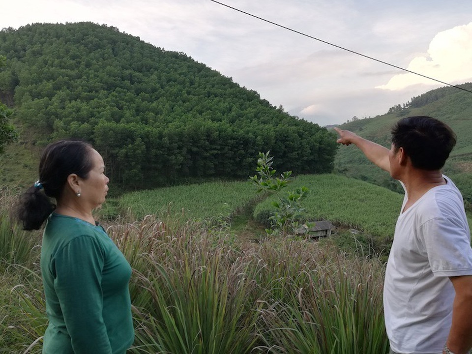 Hoà Bình: Đất lâm nghiệp của dân “bỗng dưng” biến thành của doanh nghiệp? - Ảnh 1. Hoà Bình: Đất lâm nghiệp của dân “bỗng dưng” biến thành của doanh nghiệp? - Ảnh 1.