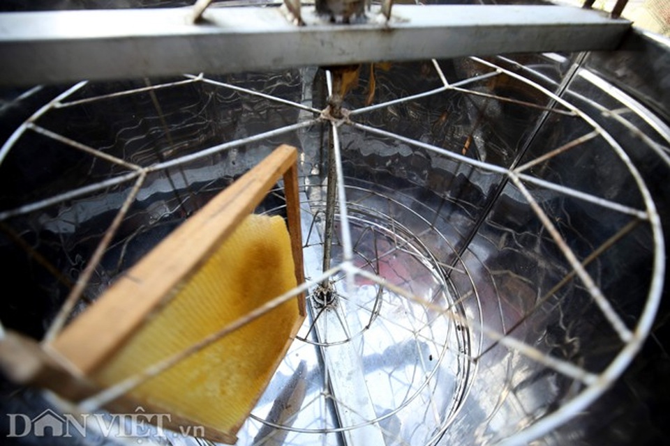 Nghề lạ ở Hà Giang: Nuôi ong trên đá - 11