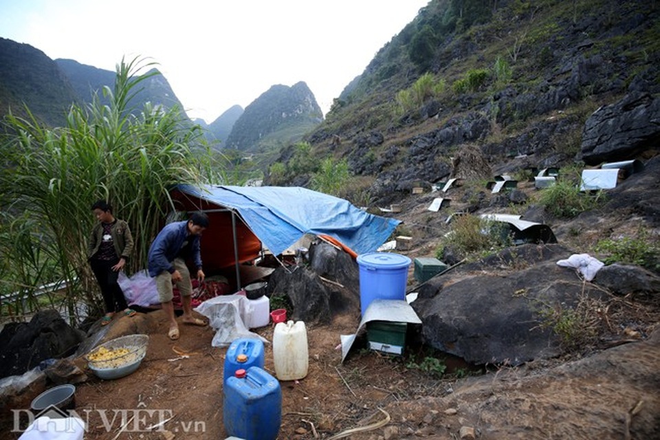 Nghề lạ ở Hà Giang: Nuôi ong trên đá - 13