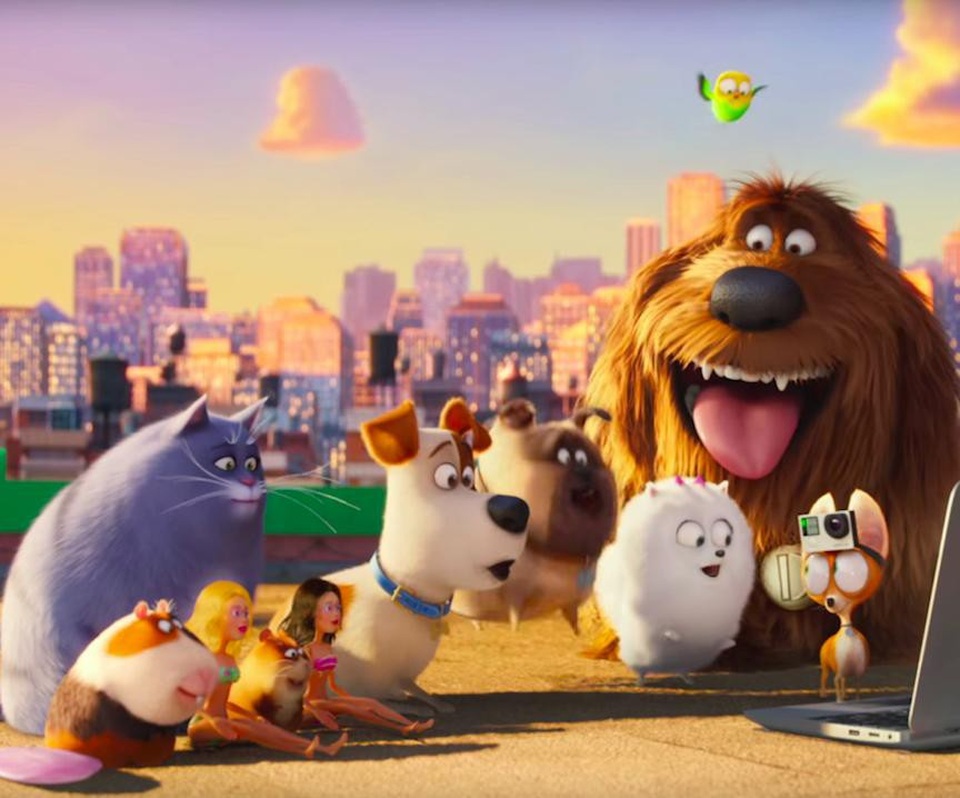 Sự thành công của loạt phim Despicable Me đã đưa cái tên của xưởng phim hoạt hình Illumination lên một tầm cao mới. Tuy nhiên, họ cũng không cần quá trông cậy vào đám nhóc minion vì Đẳng cấp thú cưng (2016) đã kiếm về cho Illumination 900 triệu USD doanh thu toàn cầu và nằm trong top những bộ phim “lời” nhất của năm.