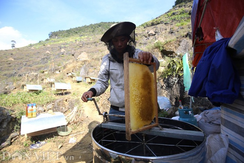 Nghề lạ ở Hà Giang: Nuôi ong trên đá - 10