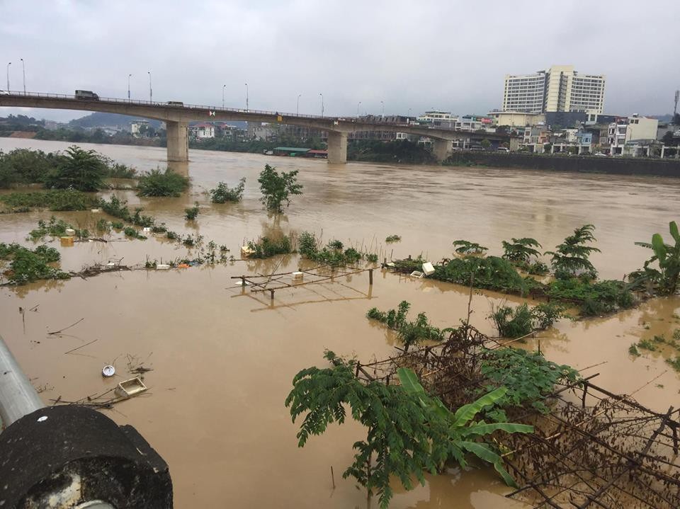 Lũ sông Hồng đột ngột dâng cao, nhấn chìm hoa màu của dân - Ảnh 1. Lũ sông Hồng đột ngột dâng cao, nhấn chìm hoa màu của dân - Ảnh 1.
