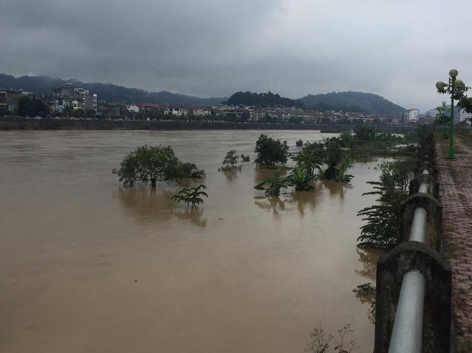 Lũ sông Hồng đột ngột dâng cao, nhấn chìm hoa màu của dân - Ảnh 2. Lũ sông Hồng đột ngột dâng cao, nhấn chìm hoa màu của dân - Ảnh 2.