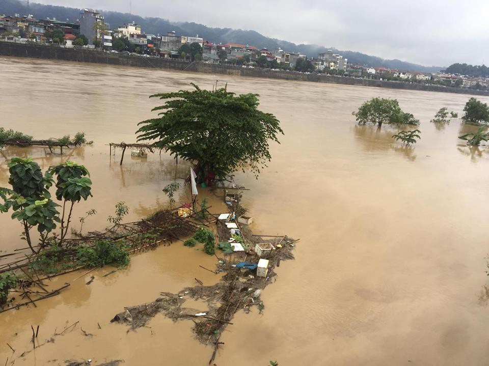 Lũ sông Hồng đột ngột dâng cao, nhấn chìm hoa màu của dân - Ảnh 3. Lũ sông Hồng đột ngột dâng cao, nhấn chìm hoa màu của dân - Ảnh 3.