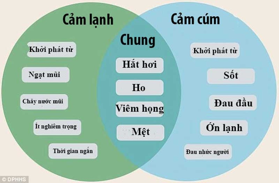Hướng dẫn mới nhất bằng hình ảnh giúp phân biệt cảm lạnh với cúm? - Ảnh 1. Hướng dẫn mới nhất bằng hình ảnh giúp phân biệt cảm lạnh với cúm? - Ảnh 1.