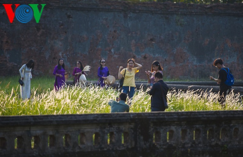 Thơ mộng điểm check in cỏ lau giữa Cố Đô Huế - 6 Thơ mộng điểm check in cỏ lau giữa Cố Đô Huế - 6