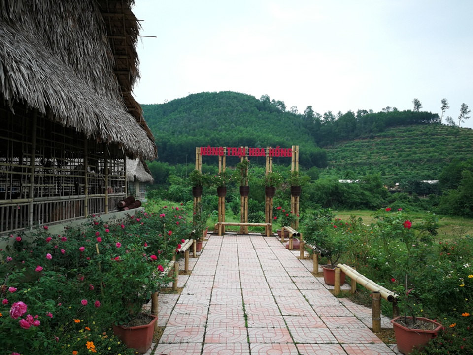 Người đàn ông bỏ phố lên rừng dựng nông trại hoa hồng - 11 Người đàn ông bỏ phố lên rừng dựng nông trại hoa hồng - 11