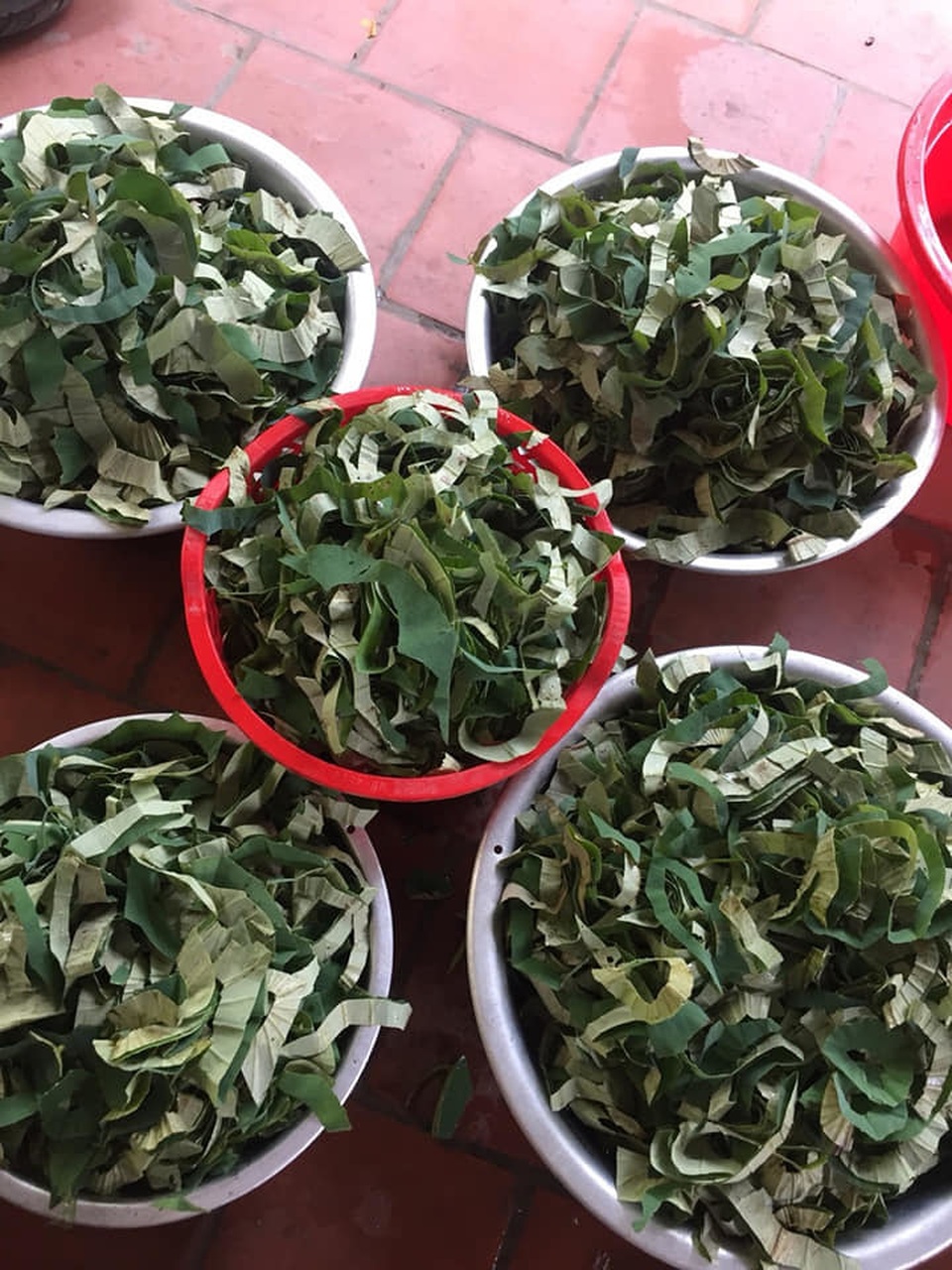 Loại lá mọc tràn ao bùn Việt Nam, 400 ngàn đồng/kg, chị em ưa dùng để giữ eo - 2 Loại lá mọc tràn ao bùn Việt Nam, 400 ngàn đồng/kg, chị em ưa dùng để giữ eo - 2