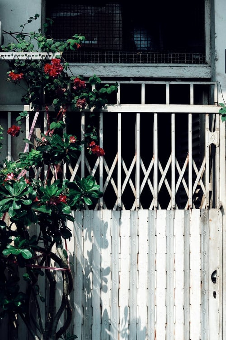Hào Sỹ Phường.jpg Hào Sỹ Phường.jpg