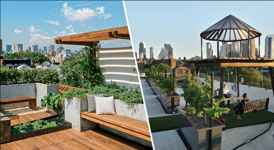 Bản hòa ca của khu vườn trên không đầu tiên tại Thái Nguyên - 1