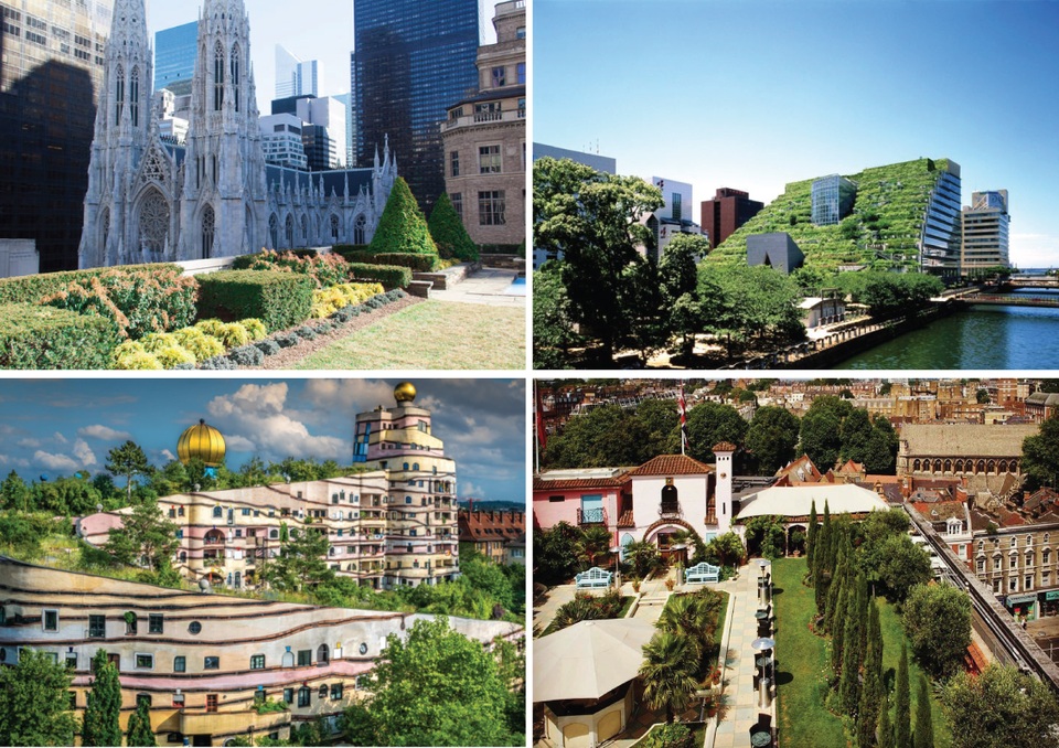 Bản hòa ca của khu vườn trên không đầu tiên tại Thái Nguyên - 2