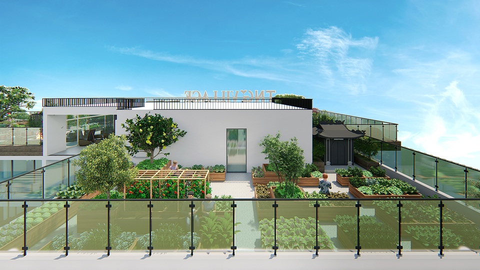 Bản hòa ca của khu vườn trên không đầu tiên tại Thái Nguyên - 5