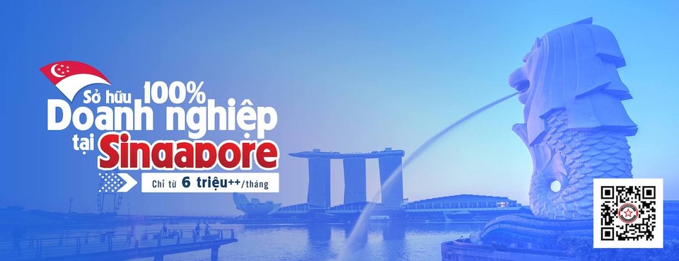 Bệ phóng Singapore cho doanh nghiệp Việt - 3