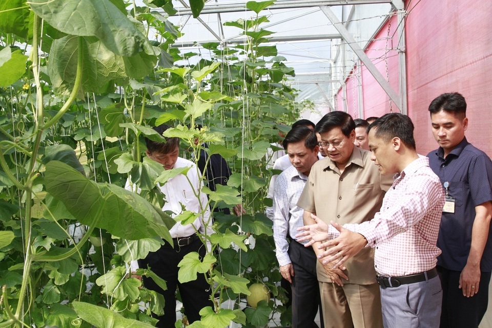 Thủ tướng Lào thăm khu công nghệ cao, trang trại trồng rau “thông minh” ở Đà Nẵng - 2 Thủ tướng Lào thăm khu công nghệ cao, trang trại trồng rau “thông minh” ở Đà Nẵng - 2