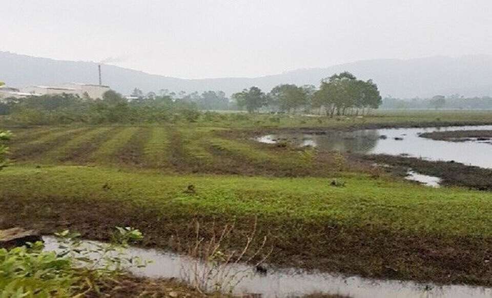 Khởi tố, bắt nguyên chủ tịch xã “phù phép” chiếm hàng chục lô đất cho người nhà - 2 Khởi tố, bắt nguyên chủ tịch xã “phù phép” chiếm hàng chục lô đất cho người nhà - 2