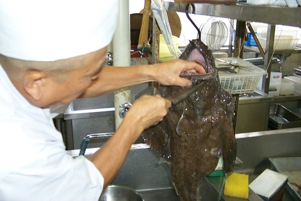 Con cá xấu như quỷ, răng sắc nhọn ghê người mà giá hơn 1 triệu đồng/kg - 5 Con cá xấu như quỷ, răng sắc nhọn ghê người mà giá hơn 1 triệu đồng/kg - 5
