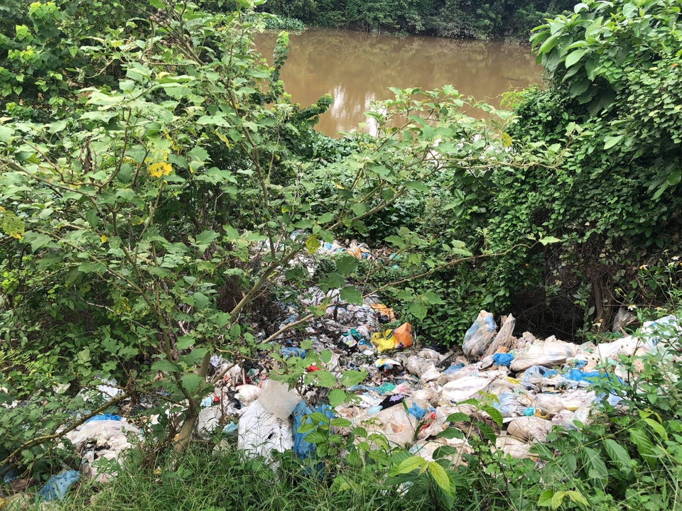 Rác thải được vứt xuống lòng sông phủ kín là mặt nước.