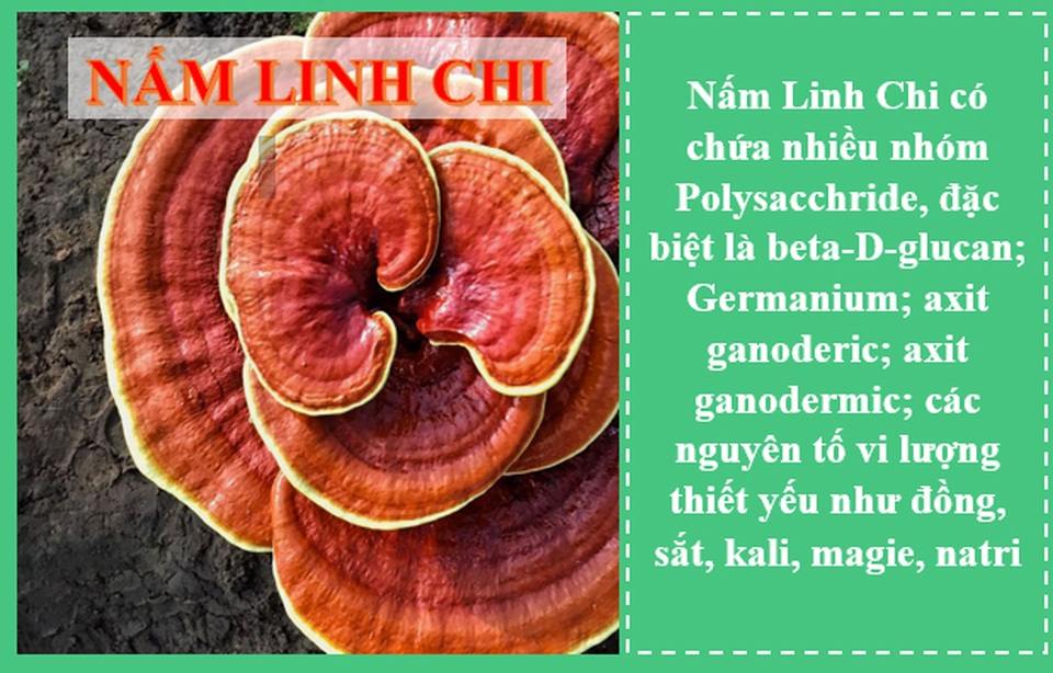 Công dụng và cách dùng nấm Linh Chi hiệu quả cao nhất qua tư vấn của chuyên gia! - 4