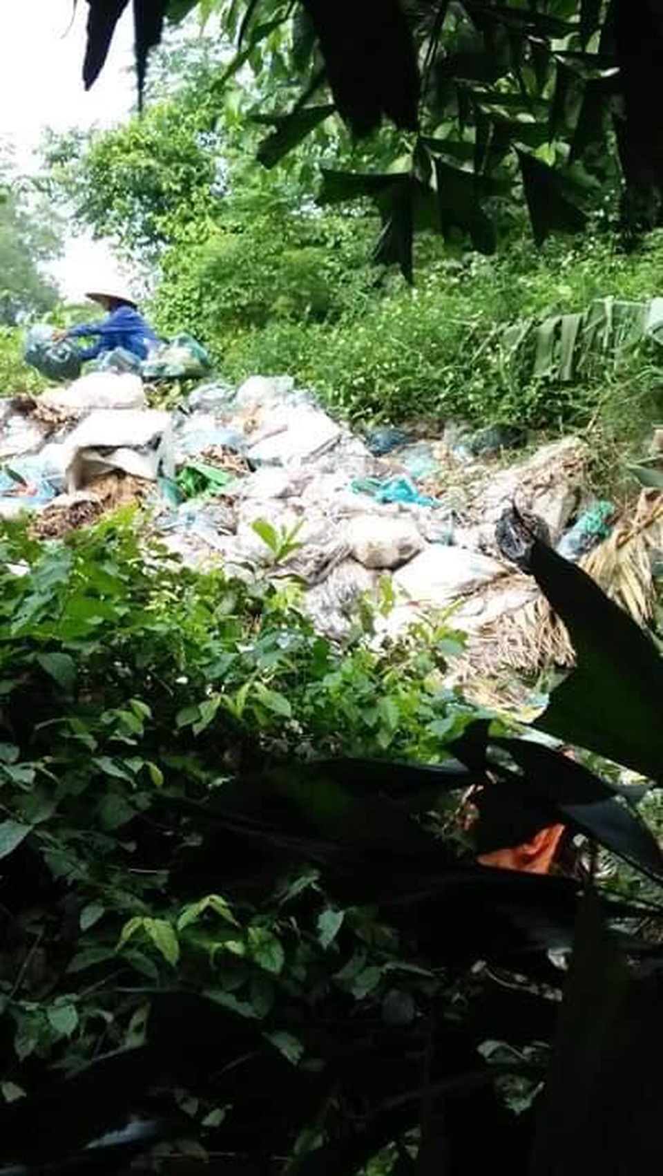 HTX đổ rác ra sông suốt 4 năm, chính quyền xã... không hay biết? - 6