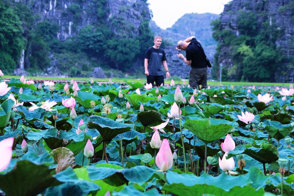 Đầm sen Nhật “bung lụa” giữa trời thu trở thành điểm check-in mê hoặc - 4 Đầm sen Nhật “bung lụa” giữa trời thu trở thành điểm check-in mê hoặc - 4