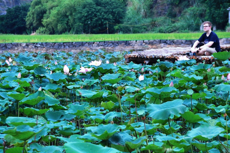 Đầm sen Nhật “bung lụa” giữa trời thu trở thành điểm check-in mê hoặc - 10 Đầm sen Nhật “bung lụa” giữa trời thu trở thành điểm check-in mê hoặc - 10
