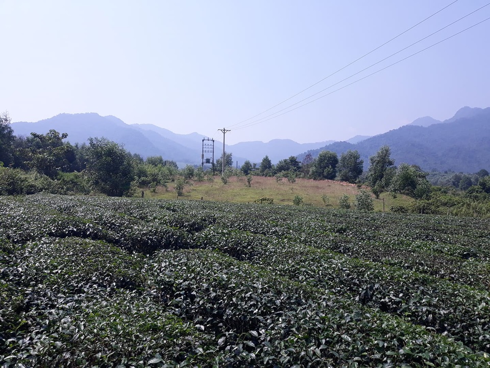 Cơ hội “gặm nhấm” khi khu tái định cư bị bỏ hoang nhiều năm - 12